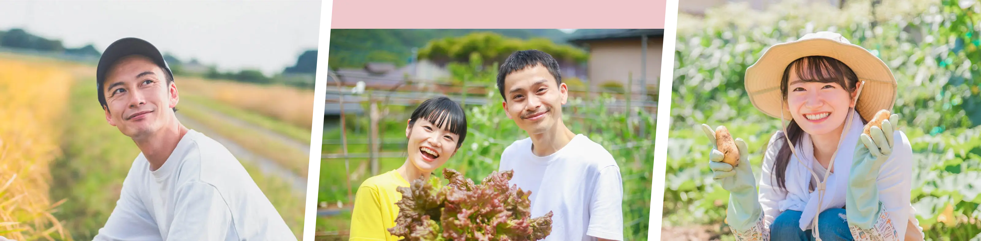 メインビジュアル